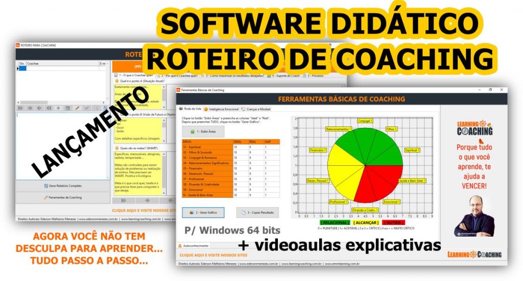 software - processo de coaching - curso de coaching online - ederson menezes