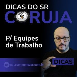 Dicas do Sr Coruja de Alta Performance para Equipes de Trabalho - Ederson Menezes